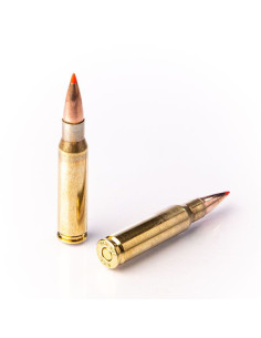 Fiocchi EPN 180gr Cal.308Win 2